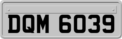 DQM6039