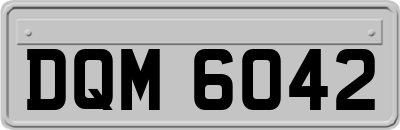 DQM6042