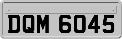 DQM6045
