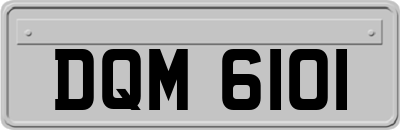 DQM6101
