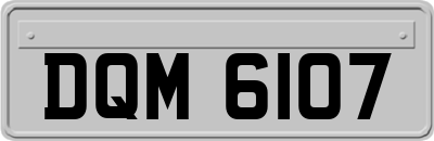 DQM6107