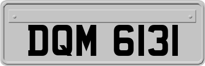 DQM6131
