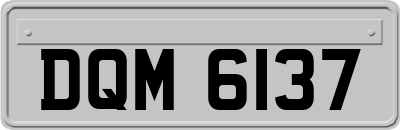 DQM6137