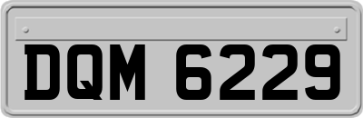 DQM6229