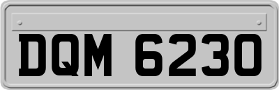 DQM6230