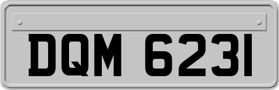 DQM6231