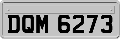 DQM6273