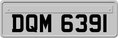 DQM6391