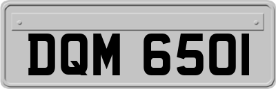 DQM6501