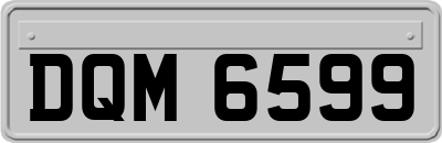 DQM6599