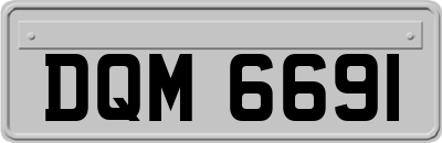 DQM6691