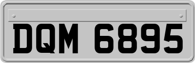 DQM6895