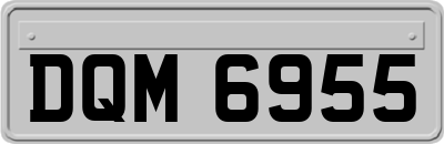 DQM6955