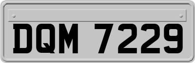 DQM7229