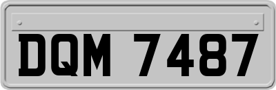 DQM7487