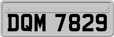 DQM7829
