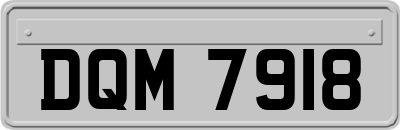 DQM7918