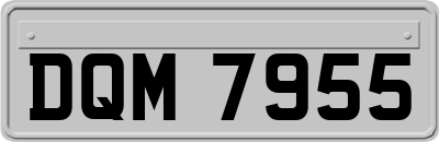 DQM7955