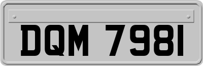 DQM7981