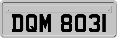 DQM8031