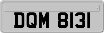 DQM8131