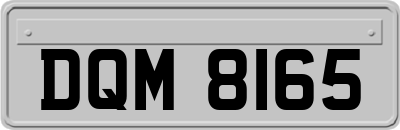 DQM8165