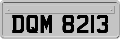 DQM8213