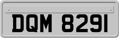 DQM8291