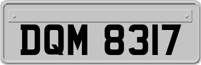 DQM8317
