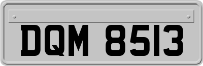 DQM8513
