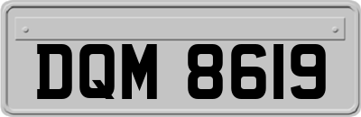 DQM8619