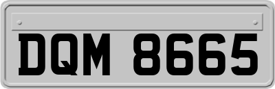 DQM8665