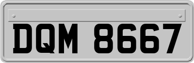 DQM8667