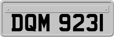 DQM9231