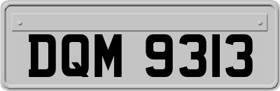 DQM9313