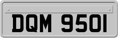DQM9501