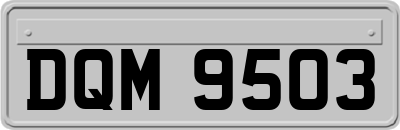 DQM9503