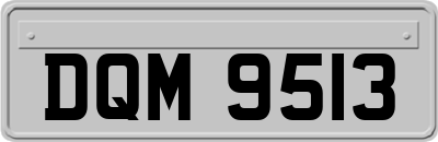 DQM9513