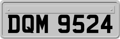 DQM9524