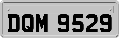 DQM9529