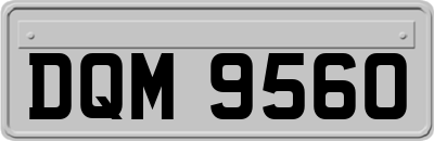 DQM9560