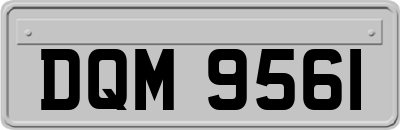 DQM9561