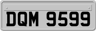 DQM9599