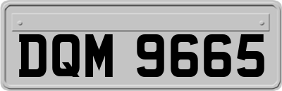 DQM9665