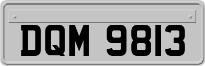 DQM9813