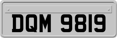 DQM9819
