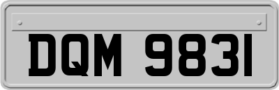 DQM9831
