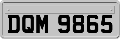 DQM9865