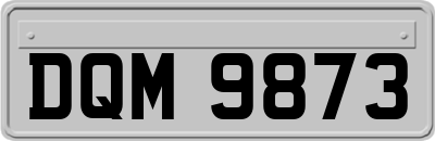 DQM9873