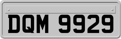DQM9929